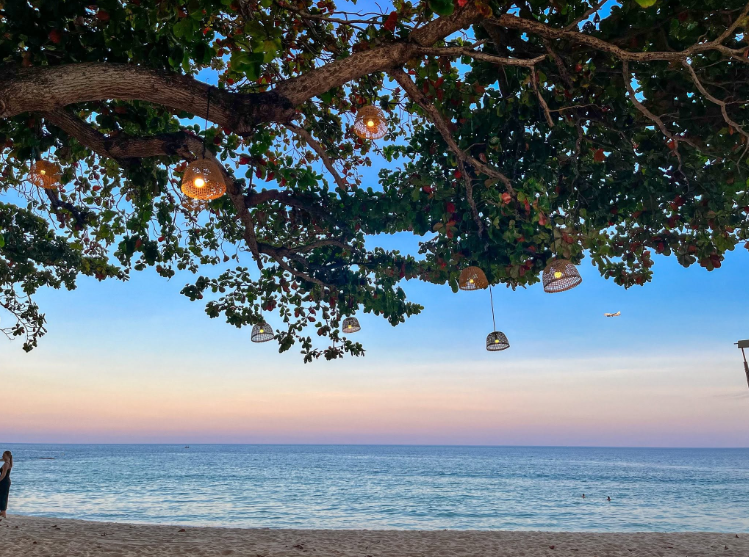 Why Koh Samui Is a Popular August Destination for European Travelers